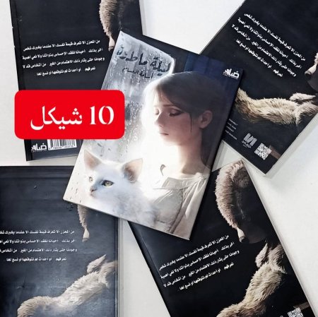 ليلة ماطرة