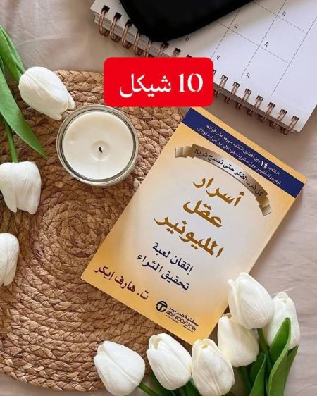 اسرار عقل المليونير