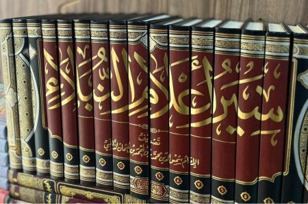 سير اعلام النبلاء 18 مجلد دار الغد
