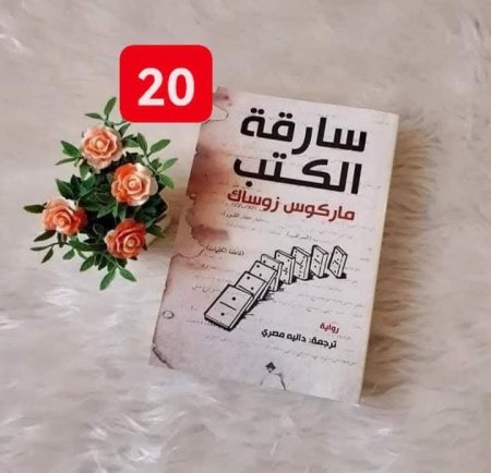 سارقة الكتب