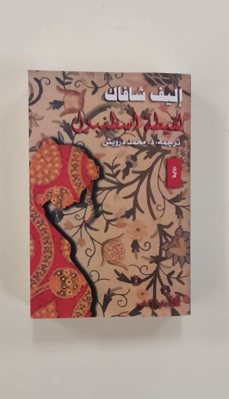 لقيطة اسطنبول