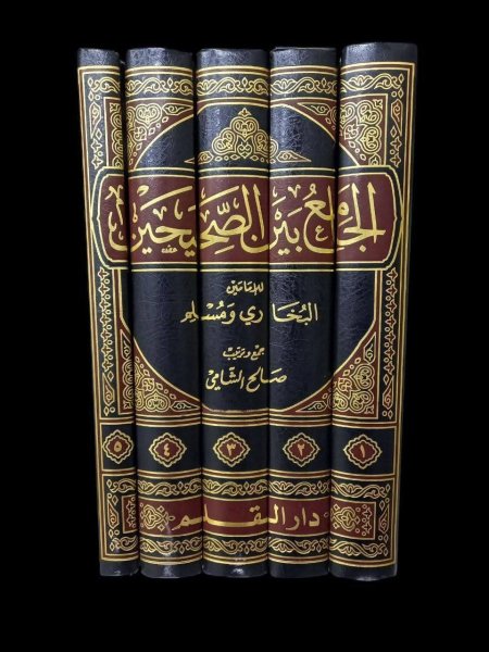 الجامع بين الصحيحين ٥ مجلدات